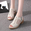 Xerxes Orthopedic Sandals