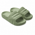 Veyne Orthopedic Slides