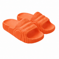Veyne Orthopedic Slides